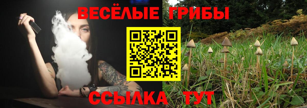 Псилоцибиновые грибы мухоморы Грозный