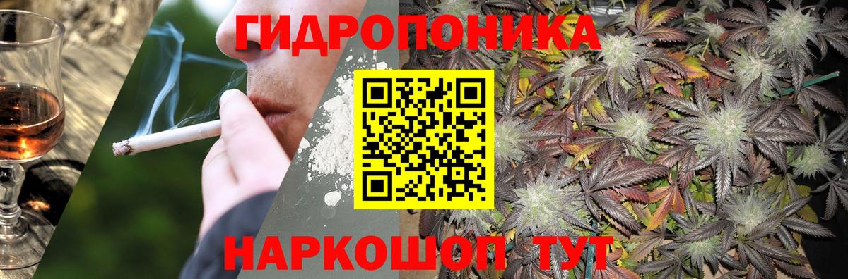 Грозный  Бошки Шишки тримм  Каннабис гибрид  Шишки марихуана тримм  Вход с VPN 